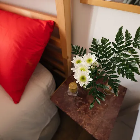 Le Stanze Di Brando E Nico Bed and Breakfast Tricase