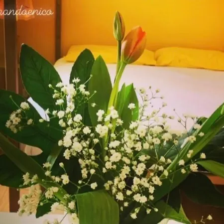 Le Stanze Di Brando E Nico B&B 트리카세